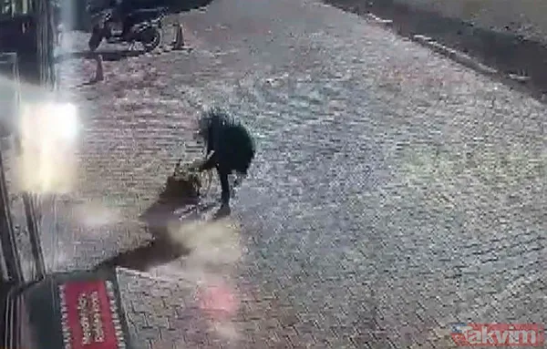 Asiye Ateş'ten sonra bir pitbull dehşeti daha! Dehşet anları anbean kamerada! - 5