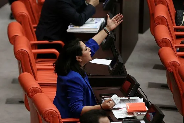 eski-chpli-simdi-tipli-olan-sera-kadigil-haddini-asti-tbmmde-cirkin-provokasyon-1639777337911.jpeg Eski CHP'li şimdi TİP'li olan Sera Kadıgil haddini aştı! TBMM'de çirkin provokasyon-2