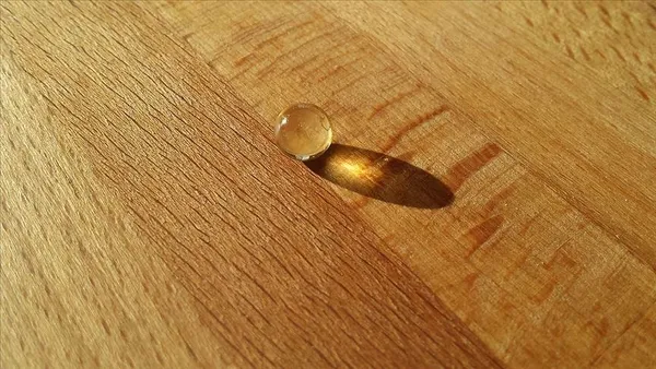 Kanser ve infeksiyon hastalıkları bağışıklık ile ilişkili: C vitamini hayati öneme sahip-8