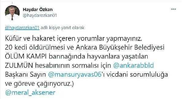 SON DAKİKA: Ankara'da kan donduran olay: 20 kediye ötanazi-5