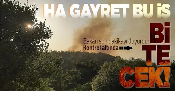 Tarım ve Orman Bakanı Bekir Pakdemirli: Çanakkale ezine yangını kontrol altına alındı