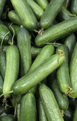 En çok artış salatalıkta