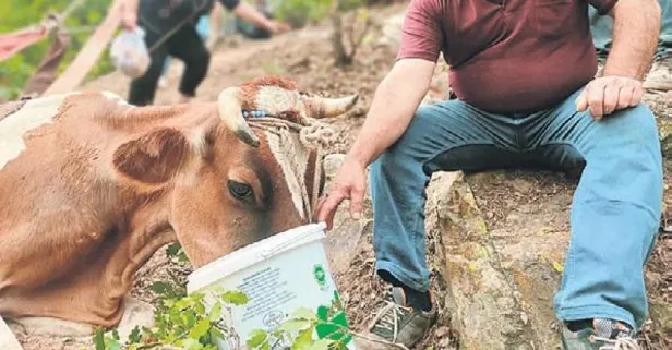 Kocaeli’de akıllara durgunluk veren kurbanlık olayı!