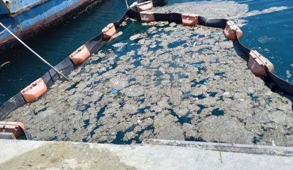 son-dakika-istanbul-universitesi-su-bilimleri-fakultesi-marmara-denizindeki-musilaji-deniz-salyasi-dogal-ortaminda-deniz-bakteri-izolatlariyla-temizle-1623659596924.jpg SON DAKİKA: İstanbul Üniversitesi Su Bilimleri Fakültesi Marmara Denizi'ndeki müsilajı (deniz salyası) doğal ortamında deniz bakteri izolatlarıyla temizledi-3