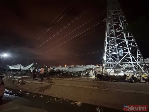 Mersin'de kontrolden çıkan otomobil kurbanlık hayvan pazarına daldı! Çok sayıda yaralı... 20 küçükbaş telef oldu - 11