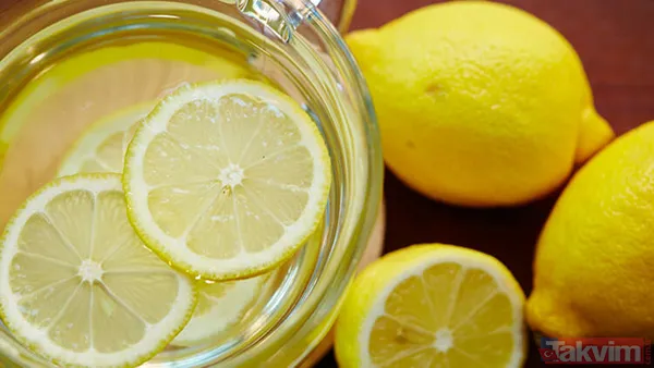 Tarihi, Roma İmparatorluğu'na Kadar Uzanan Limonun 2 Bin 500 Yıl Önce Hindistan'ın Kuzey Batı Bölgesinde İlk Kez Tam Anlamıyla Yetiştirilmeye Başlandığı...