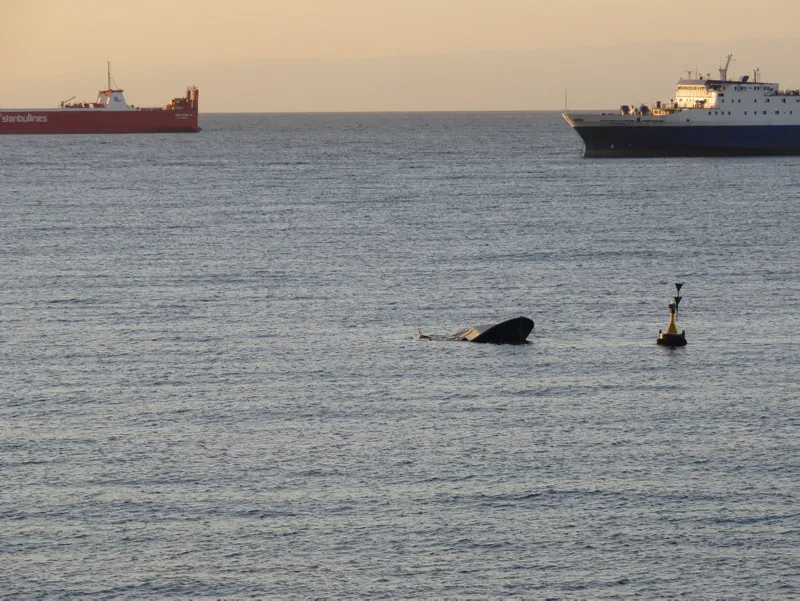 Beylikdüzü'nde korkutan anlar! - 3