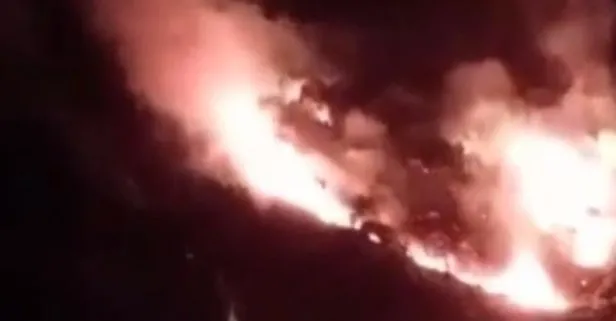 İstanbul Pendik'te orman yangını! İtfaiye ve Orman Bölge Müdürlüğü  ekiplerinin müdahalesi sürüyor