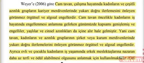 CHP'li İBB Başkanı Ekrem İmamoğlu'nun eşi Dilek İmamoğlu'nun tezinde sayfalarca intihal çıktı - 34