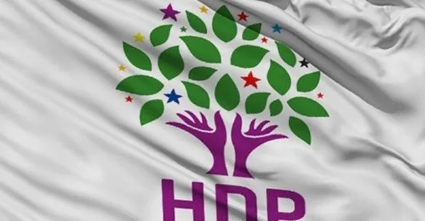HDP’li Fırat Karabulut partisinden istifa etti
