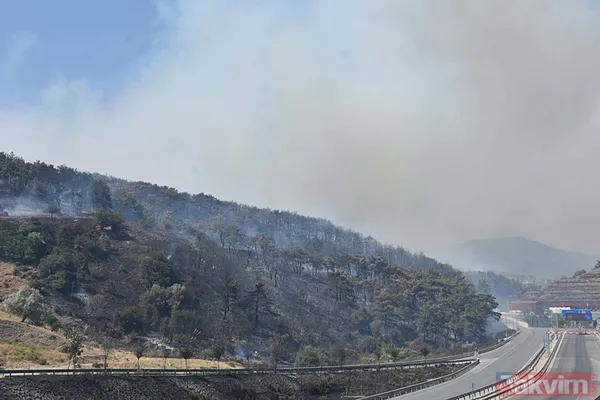 İzmir Bornova'da orman yangını: O yol kapatıldı - 24