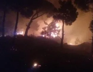 Aydın’daki orman yangını kontrol altına alındı