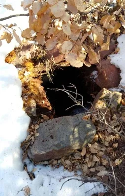 PKK'nın belini kıran operasyon!