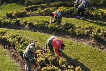 Sayıştay raporu ortaya çıkardı
