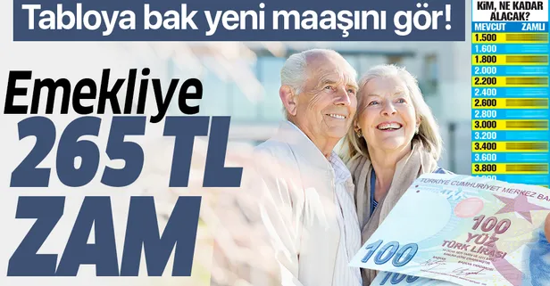 Emekliye 265 TL zam | 2020 Temmuz zammıyla emekli maaşı ne kadar olacak? İşte en güncel maaş listesi