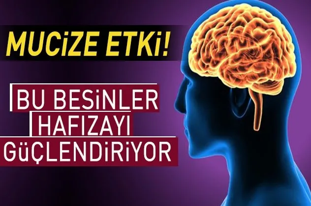 Hafızayı güçlendiren besinler!