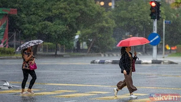 Yağmur rekoru kırıldı! Dünyanın en yağışlı 10 ülkesi açıklandı - 4