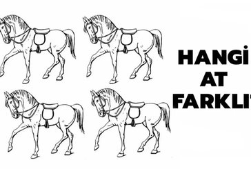 4 at içinde farklı atı bulabilir misin?
