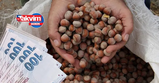 2022 fındık destekleme dönüm parası ne zaman verilecek, kaç TL? Fındık destekleme ödemeleri yattı mı?