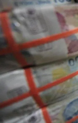 Ekonomide TL devri