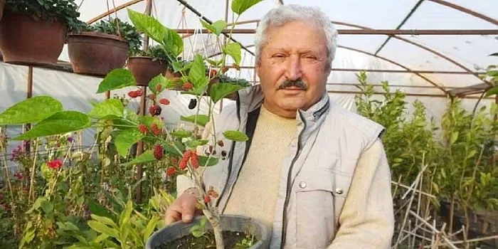 Emekli oldu saksılara ekip ekip satıyor, o ilin yeni para kapısı oldu! Dikildiği yerde hemen meyve veriyor-5