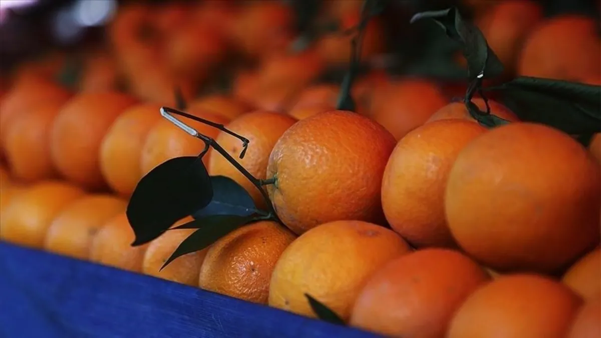 C vitamini deposu portakalın faydaları nelerdir?