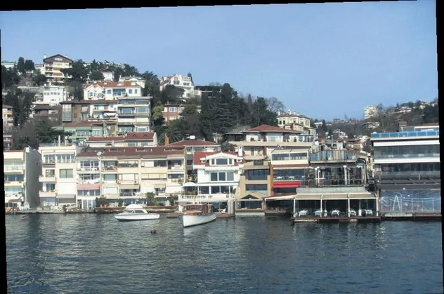 Bebek’te fare paniği