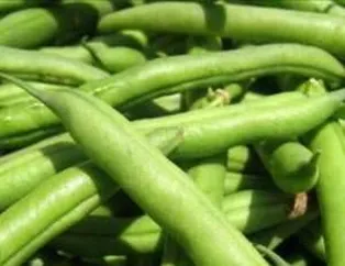 Kilo aldırmayan besinler