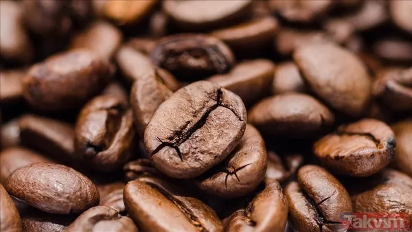 Bilim Kanıtladı: Günde 4 Fincan Kahve Yaşlanmayı Durduruyor - 3