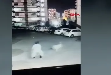 Diyarbakır’da başıboş terörü