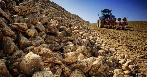 Meclis'te kabul edildi! Nişasta bazlı şeker...