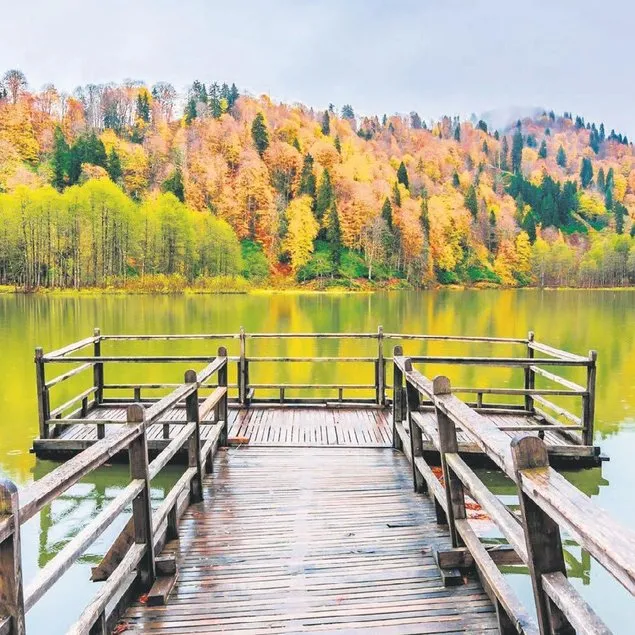 Doğa harikası Artvin