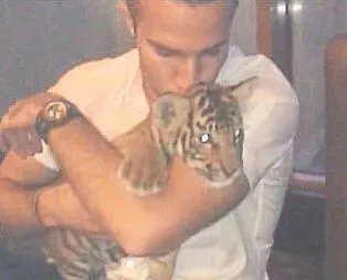 Persie’nin kaplan aşkı