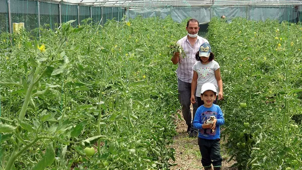 sehirde-dogup-buyuyen-adam-genc-ciftci-projesiyle-koyune-dondu-1593427630881.jpg Şehirde doğup büyüyen adam, "Genç Çiftçi" projesiyle köyüne döndü-2