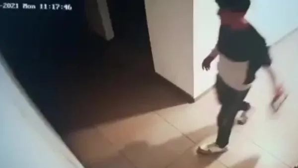 istanbulda-igrenc-goruntuler-kargocu-apartman-icinde-buyuk-tuvaletini-yapti-paketle-sildi-1630666612499.jpg İstanbul'da iğrenç görüntüler! Kargocu apartman içinde büyük tuvaletini yaptı paketle sildi-3