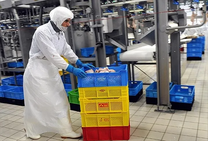beyaz-et-sektorune-operasyon-iste-denetim-kayyumu-atanan-13-sirket-gozalti-listesinde-isim-isim-1781279941712.jpeg Beyaz et sektörüne operasyon: İşte denetim kayyumu atanan 13 şirket! | Gözaltı listesinde isim isim-9