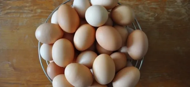 Yumurtada dioksin skandalı! Bağışıklık sistemine zarar veriyor-2