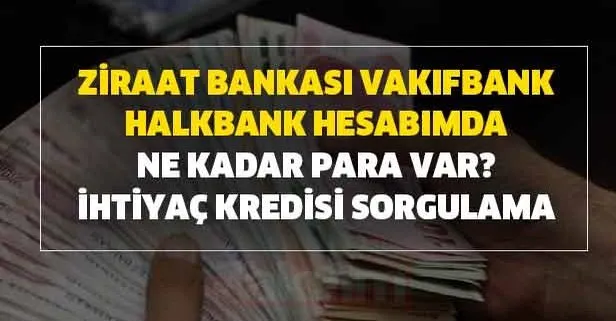 Ziraat Bankası, Vakıfbank, Halkbank hesabımda ne kadar kaç TL para var? İhtiyaç kredisi ATM, SMS, telefon ve internetten sorgulama