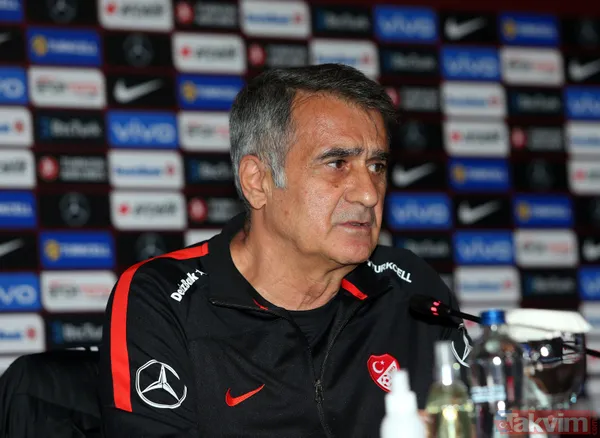 Türkiye A Milli Futbol Takımı Teknik Direktörü Şenol Güneş'ten çok özel açıklamalar! Lille Burak Yılmaz Sergen Yalçın Rıdvan Yılmaz primler - 6