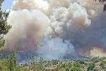 İzmir’de orman yangını! Aydın ve Çanakkale’de soğutma çalışmaları... Yerleşim yerlerinden risk var mı?