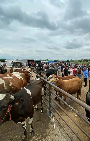Kurban pazarında bu tehlikeye dikkat! Polis ekipleri tek tek anlattı