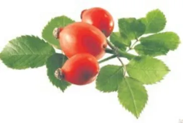 Kabızlığa kuşburnu