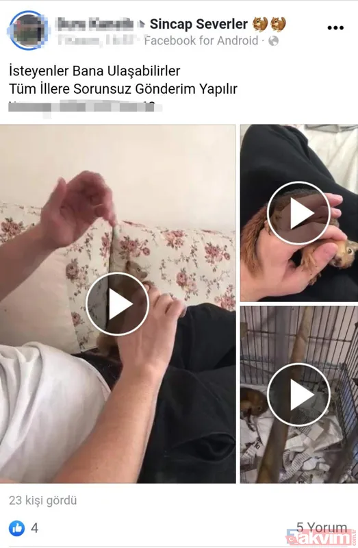 Satışı yasak olan hayvanları internetten satıyorlar - 12