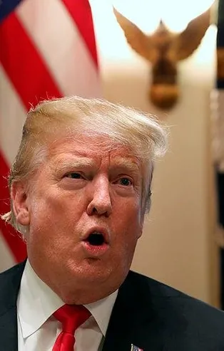 Donald Trump'ın akıl hocası Roger Stone gözaltına alındı