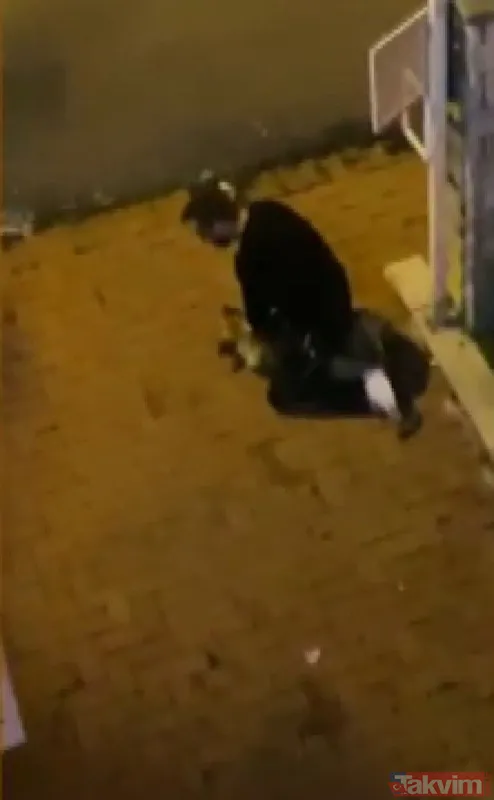 Sarıyer'de köpeği boğmaya çalışan şahsın ifadesi ortaya çıktı! Pes dedirten 'alkol' savunması - 8