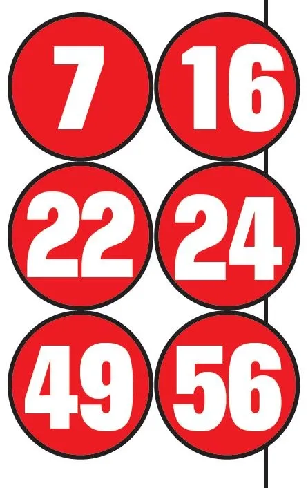 Erzincan'da posta güvercini yarışı yapıldı: 14 saatte bin 10 kilometre uçtu (Yaşam haberleri)-3