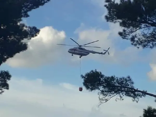Son dakika: Balıkesir'in Edremit ilçesinde çıkan orman yangını kontrol altına alındı-2