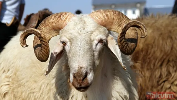 📌 Bağış Yaparken Nelere Dikkat Edilmeli? Uzmanlar, İnternet Üzerinden Yapılacak Bağışlarda Dikkat Edilmesi Gereken Başlıca Unsurları Şöyle Sıralıyor: Resmi...