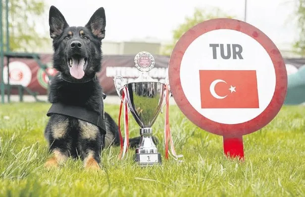 37 yıl önce terziliğe başlayan Desmond Merrion'un kişiye özel takım elbiseleri cep yaktı!-1