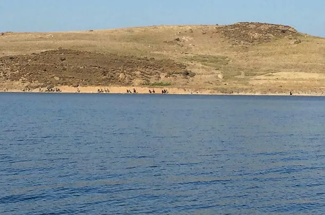 Adada mahsur kalmışlardı! Hepsi kurtarıldı